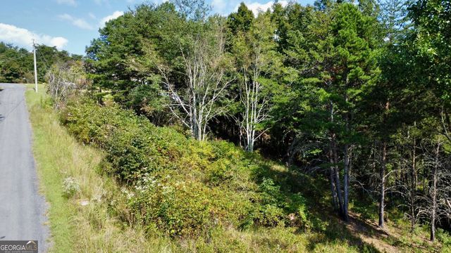 T7 Talona Mountain Road, Ellijay, GA 30536