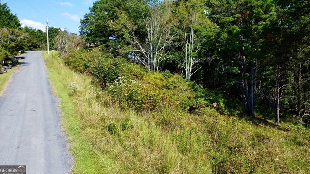 T7 Talona Mountain Road, Ellijay, GA 30536