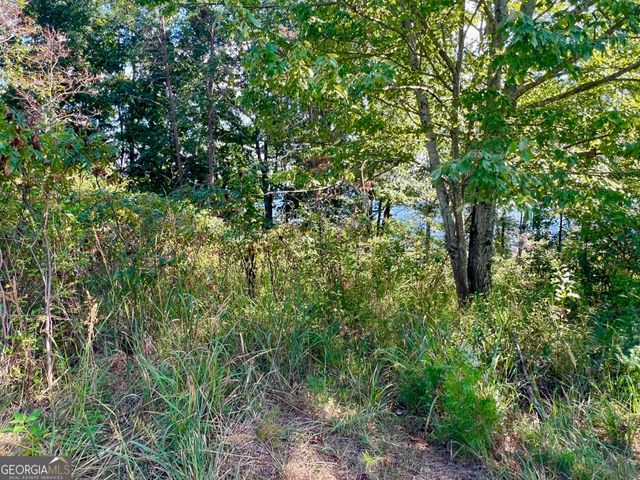 T7 Talona Mountain Road, Ellijay, GA 30536