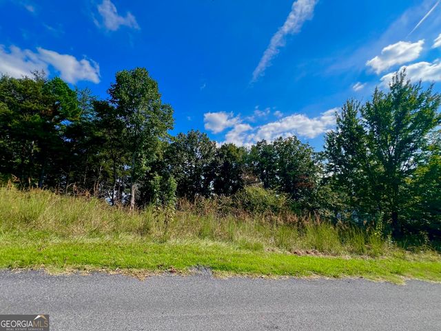 T7 Talona Mountain Road, Ellijay, GA 30536