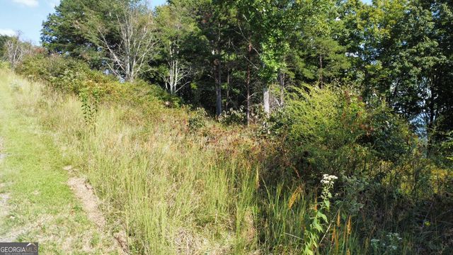 T7 Talona Mountain Road, Ellijay, GA 30536