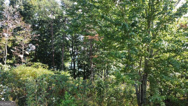T7 Talona Mountain Road, Ellijay, GA 30536