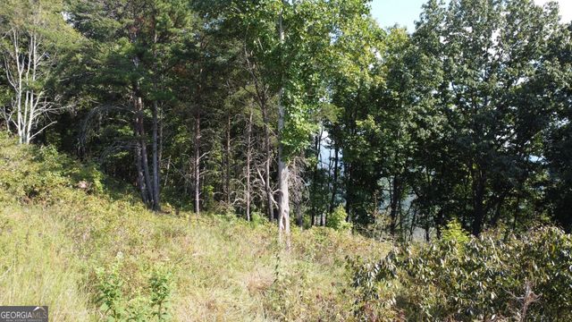 T7 Talona Mountain Road, Ellijay, GA 30536