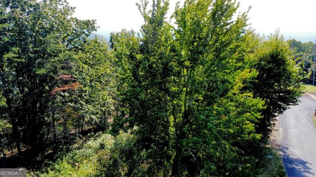 T7 Talona Mountain Road, Ellijay, GA 30536