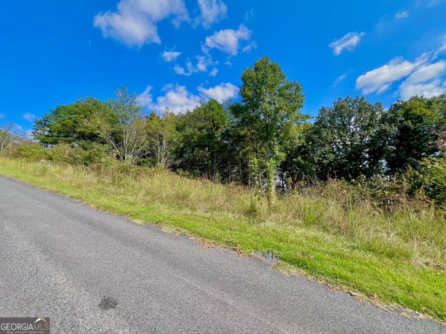 T7 Talona Mountain Road, Ellijay, GA 30536