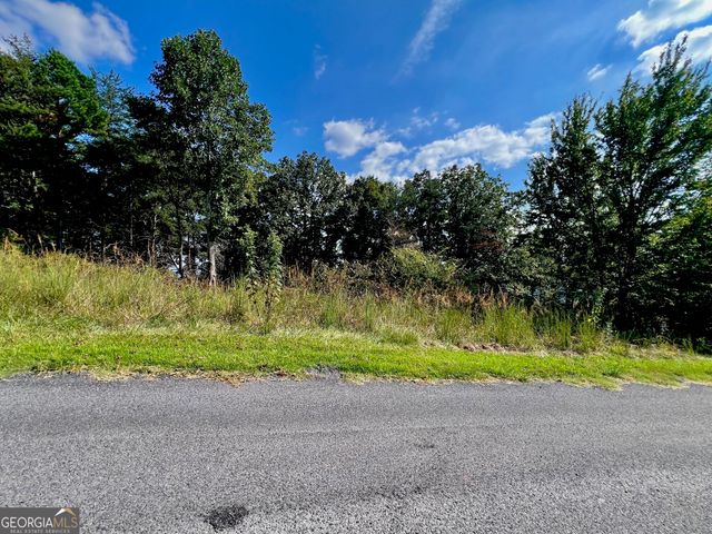 T7 Talona Mountain Road, Ellijay, GA 30536