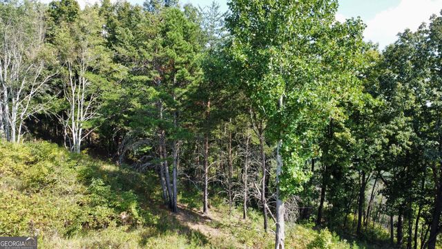 T7 Talona Mountain Road, Ellijay, GA 30536