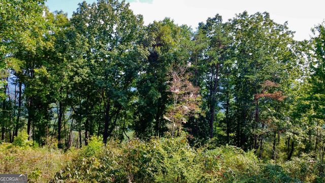 T7 Talona Mountain Road, Ellijay, GA 30536