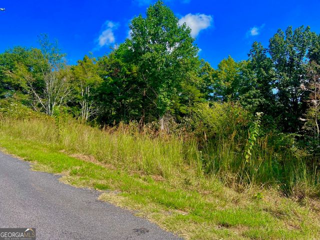 T7 Talona Mountain Road, Ellijay, GA 30536