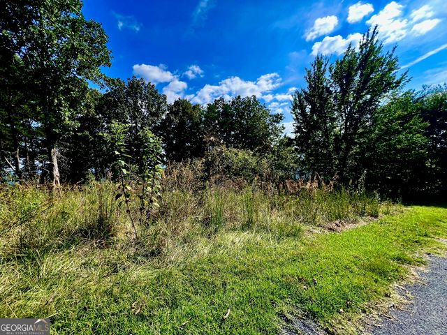 T7 Talona Mountain Road, Ellijay, GA 30536