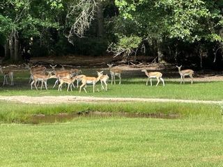 1335 Cr 131, Centerville, TX 75833