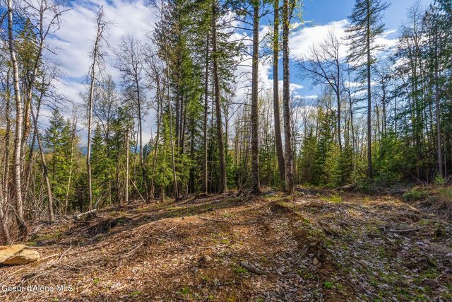 13259 Baldy Mountain Rd, Sandpoint, ID 83864