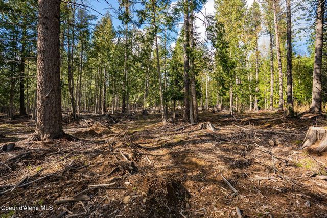 13259 Baldy Mountain Rd, Sandpoint, ID 83864