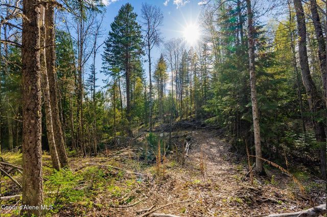 13259 Baldy Mountain Rd, Sandpoint, ID 83864