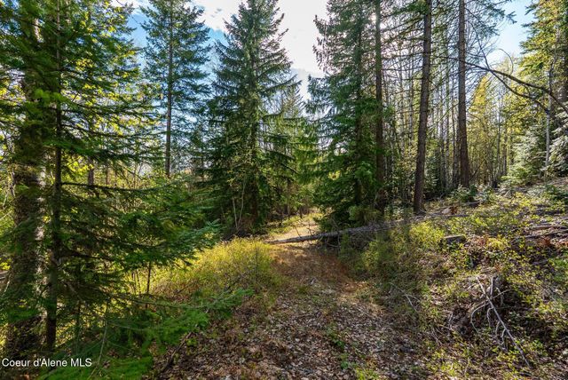 13259 Baldy Mountain Rd, Sandpoint, ID 83864