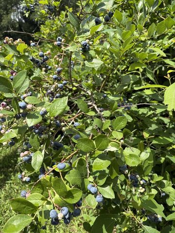 7160 N 12th Street, Kalamazoo, MI 49009