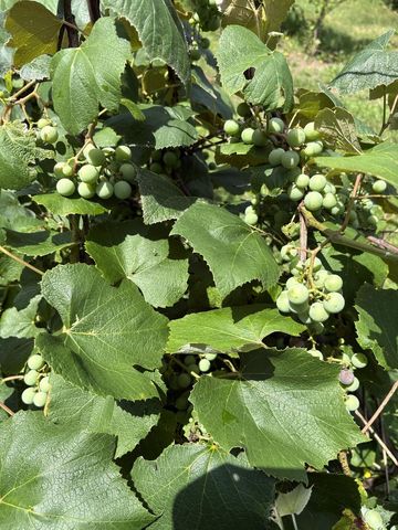 7160 N 12th Street, Kalamazoo, MI 49009