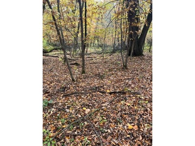 Lot 5 Tiger Street NW, Zimmerman, MN 55398