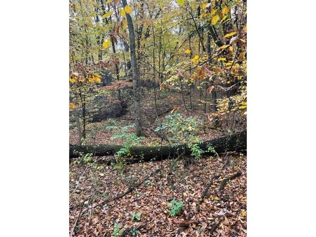 Lot 5 Tiger Street NW, Zimmerman, MN 55398