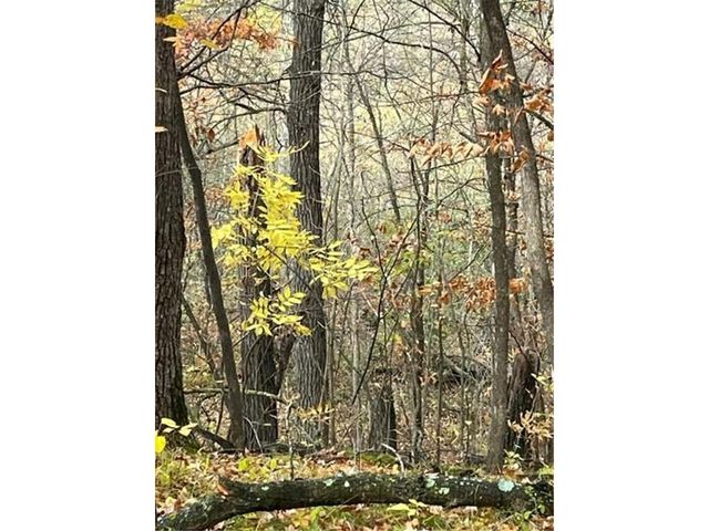 Lot 5 Tiger Street NW, Zimmerman, MN 55398