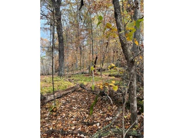 Lot 5 Tiger Street NW, Zimmerman, MN 55398