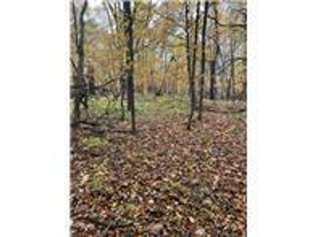 Lot 5 Tiger Street NW, Zimmerman, MN 55398