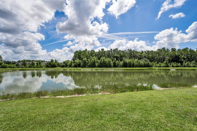 10764 PLEASANT KNOLL DRIVE, Tampa, FL 33647
