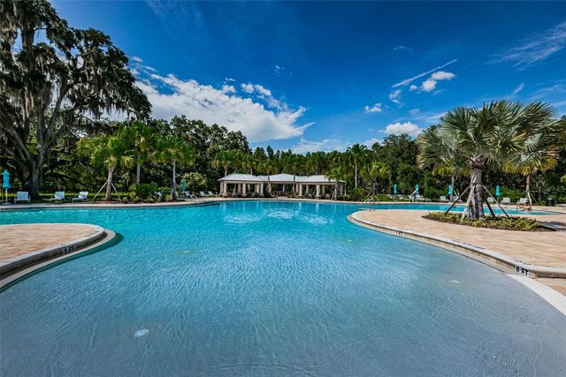 10764 PLEASANT KNOLL DRIVE, Tampa, FL 33647
