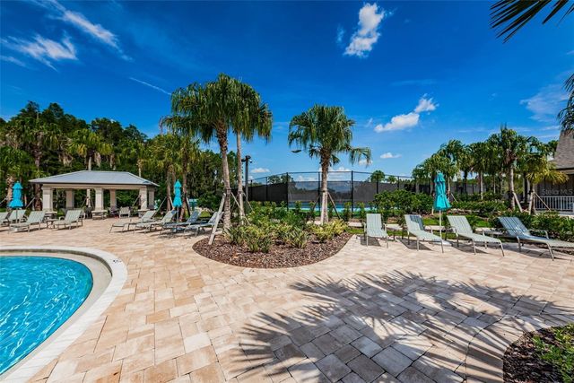 10764 PLEASANT KNOLL DRIVE, Tampa, FL 33647
