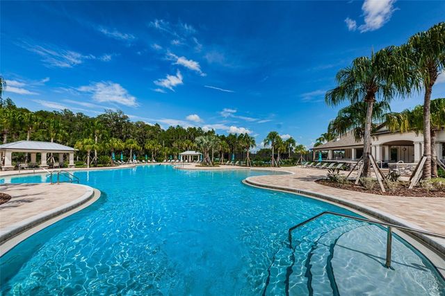 10764 PLEASANT KNOLL DRIVE, Tampa, FL 33647
