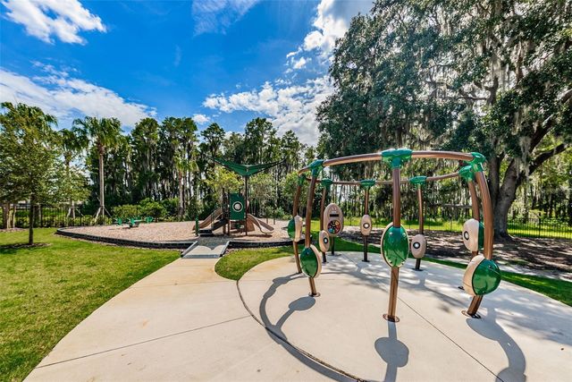 10764 PLEASANT KNOLL DRIVE, Tampa, FL 33647