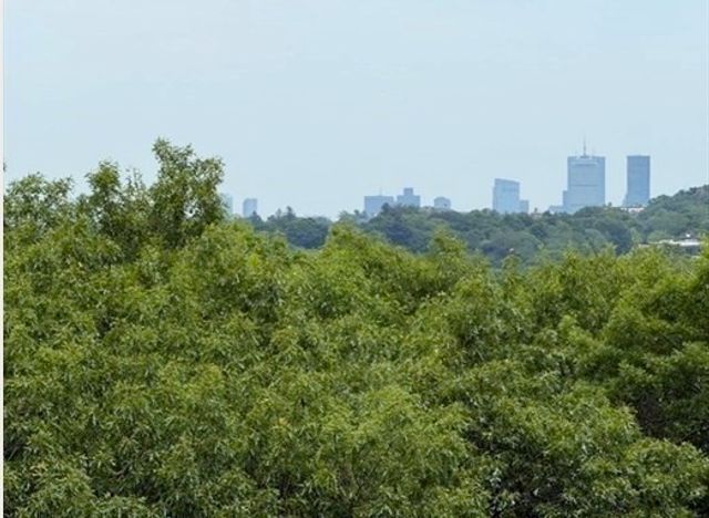 280 Boylston Street 908, Newton, MA 02467