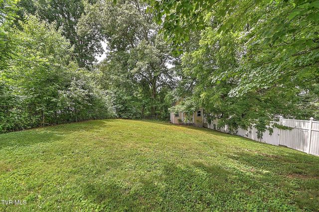 306 Hale Street, Bristol, TN 37620