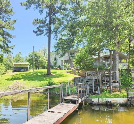 719 Hickory Hill Drive, Burkeville, TX 75932