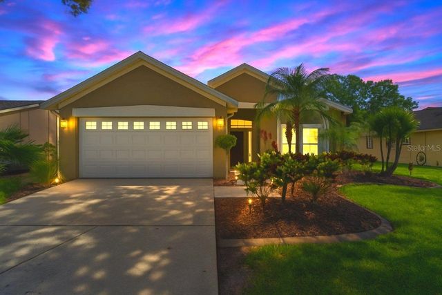 11514 WELLMAN DRIVE, Riverview, FL 33578