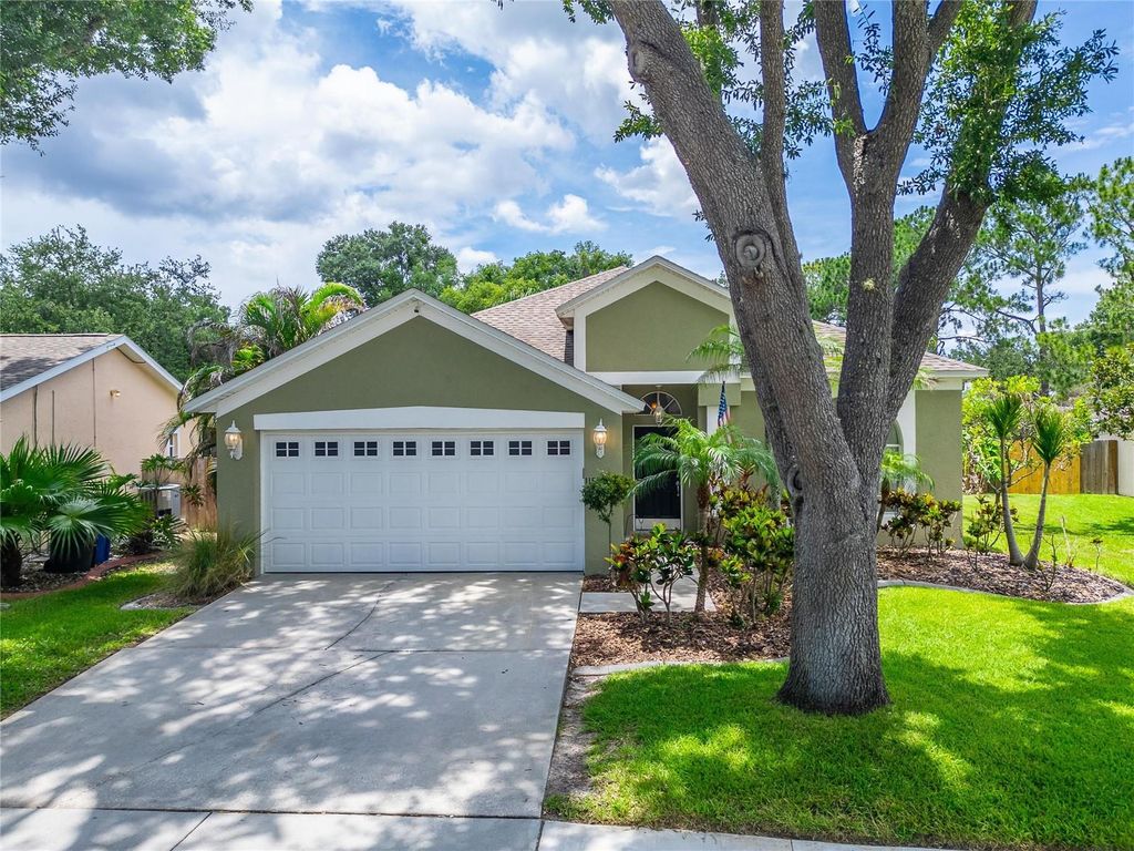 11514 WELLMAN DRIVE, Riverview, FL 33578