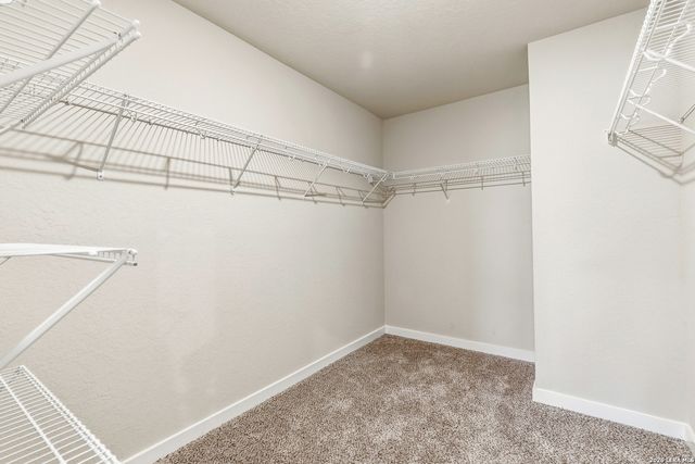 7207 LITTLEFOOT LN, San Antonio, TX 78253
