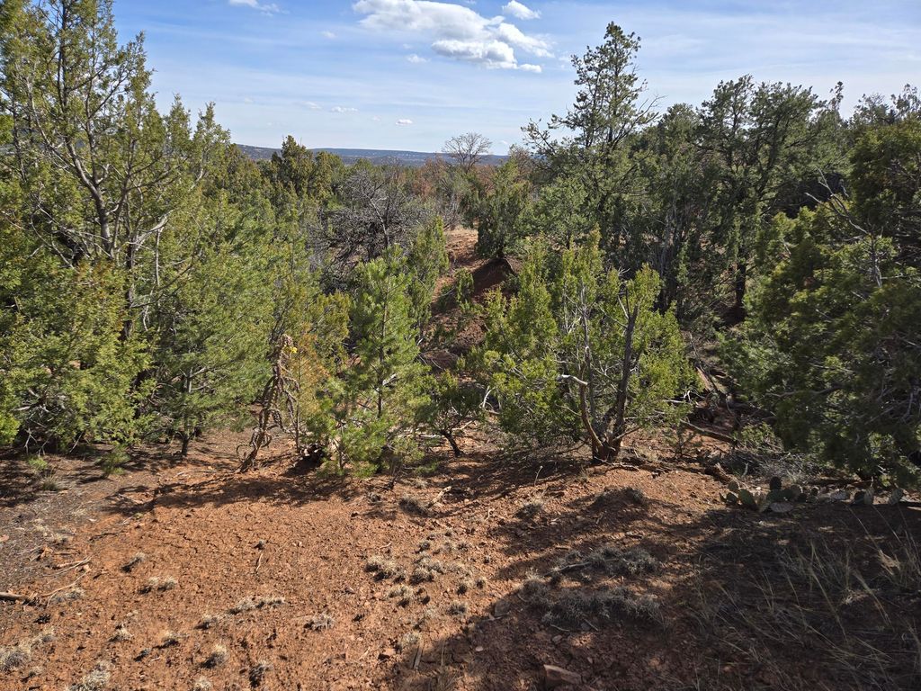 Image 15 of property listing at 125 Kiva Place 246, Sandia Park, NM 87047