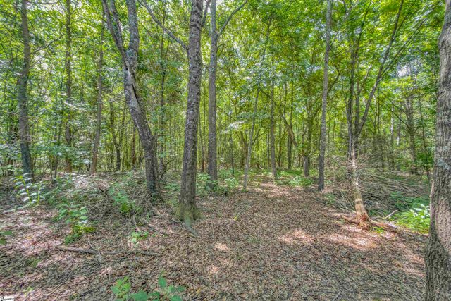 43 Tippecanoe Street, Simpsonville, SC 29680