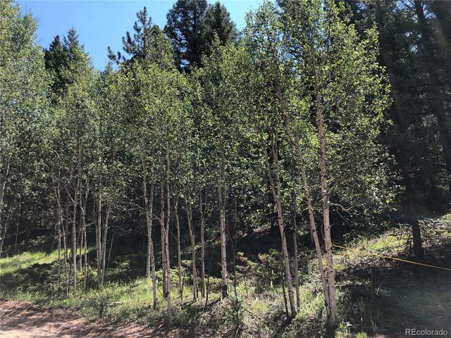3015 N Mountain Estates Road, Florissant, CO 80816