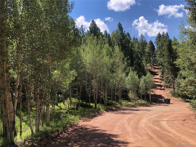 3015 N Mountain Estates Road, Florissant, CO 80816