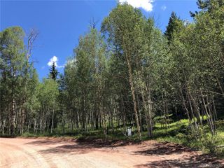3015 N Mountain Estates Road, Florissant, CO 80816