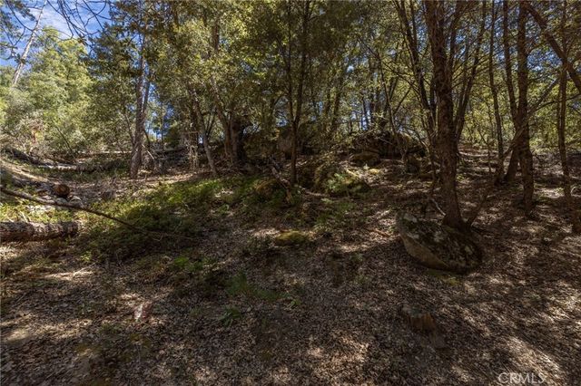 8 N Cedar Vista Circle N, Bass Lake, CA 93604
