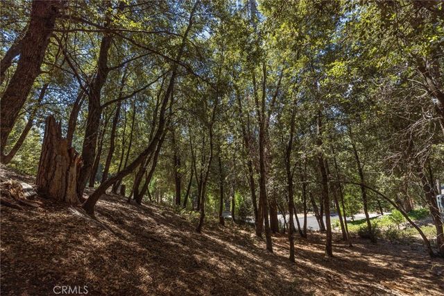 8 N Cedar Vista Circle N, Bass Lake, CA 93604