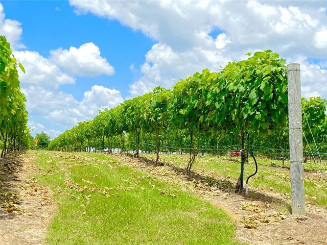 5518 State Highway 198, Canton, TX 75103