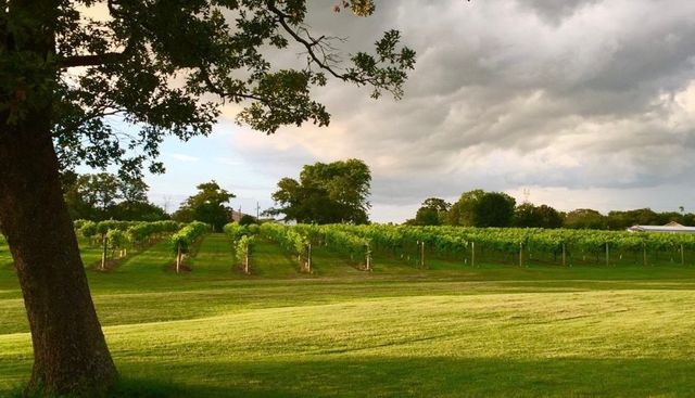 5518 State Highway 198, Canton, TX 75103