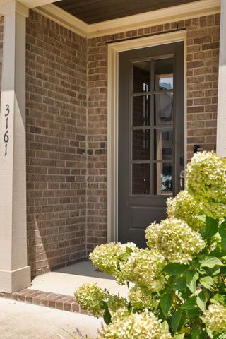 3161 Sassafras Ln, Thompsons Station, TN 37179