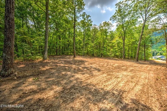 Chilly Springs Road, Maryville, TN 37803