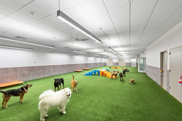 240 Devonshire St 3603, Boston, MA 02110