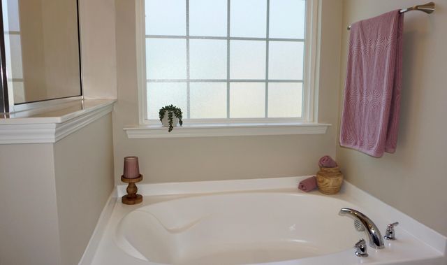 334 Bradley Bend Drive, Moncks Corner, SC 29461